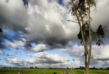 KY体育-关于击剑夜战：关东银狐队读秒扳平姑苏猎隼队，主帅临场妙招黑马成最大惊喜的信息